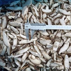 Mražená houba Shiitake nakrájená na plátky